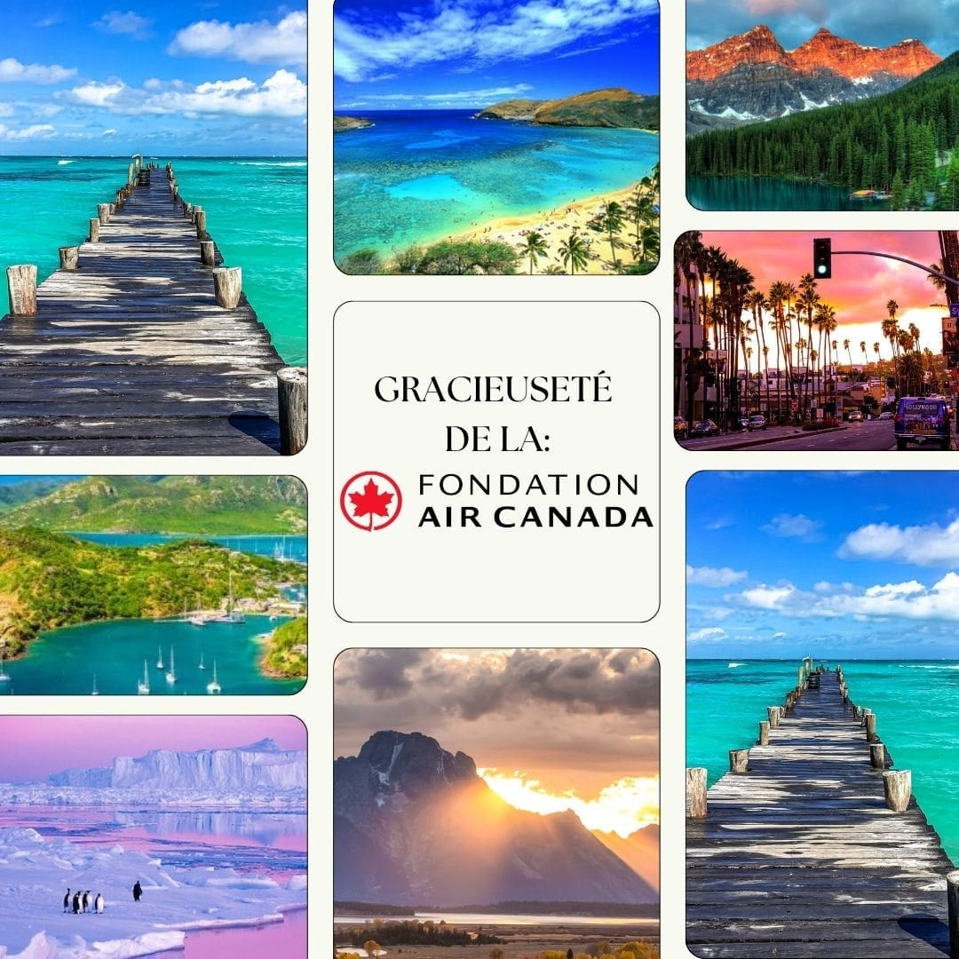 Affiche encan